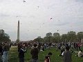 IMG_3620 flying kites on the mall, Washington monument
